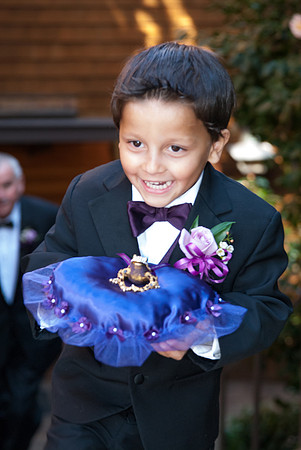 Volks Wedding 2013