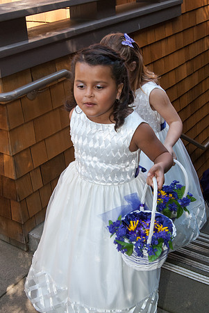 Volks Wedding 2013